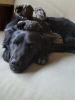 20180710_192040.jpg