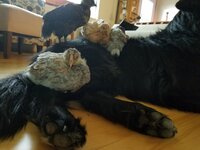 20180622_152904.jpg