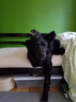 20170511_181637.jpg