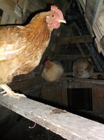 DSCF5824.JPG