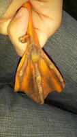 thumbnail (3).jpg