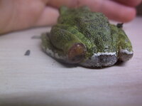 DSCF6795.JPG