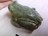 DSCF6796.JPG
