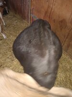 IMG_20190410_194007364.jpg