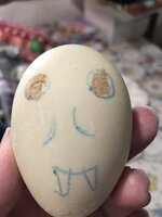 44BD7582-13D1-417C-81D1-68130C666C65.jpeg
