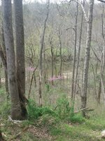 20190411_144425.jpg