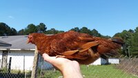 20160323_160537.jpg