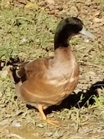 20181021_175653.jpg