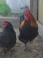 20190413_144512.jpg