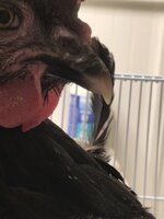B6FA2598-BE47-4530-819B-A3C435E89D79.jpeg