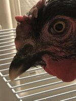 49781063-3D01-42AE-9A66-726FF82AB2BF.jpeg