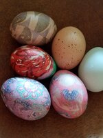 20180401_162228.jpg