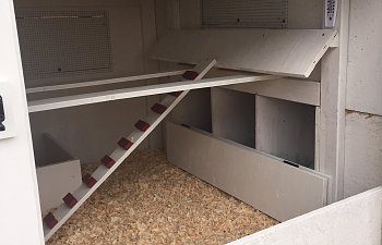IMG_1593.JPG