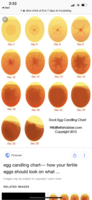 9817C13C-0914-4340-AD2A-0B1604D0B818.png