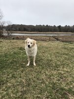 05A00DCE-2244-4BA3-ADE7-4F818650A9DD.jpeg