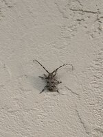 EC0F953C-F880-4F78-A256-2D7D155793B0.jpeg