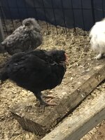 52655510-3050-4085-A0F0-C8B081A8C377.jpeg