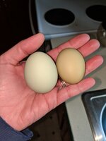 IMG_20190416_101053.jpg