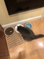 ADFC59EB-A3C4-4388-8783-2C012B2CEDF3.jpeg