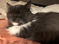DF087BC6-AA55-421B-92F2-2772F002C2CC.jpeg