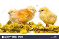 95A81DE4-32DD-4896-A131-5F77F0A3F5FD.jpeg