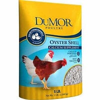 dumor oyster shell.jpg