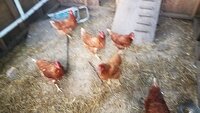 20170515_184730.jpg