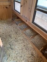 IMG_4510.jpg