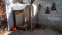 gallina2.jpg