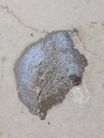 20190418_182040.jpg