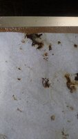 20190419_110151.jpg