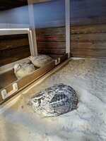 IMG_20190419_074313.jpg