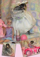 Ultimate glam pullet copy.jpg