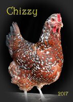 chizzy 2 copy.jpg