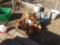 20190420_103341.jpg