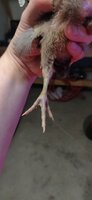 IMG_20190420_071239.jpg