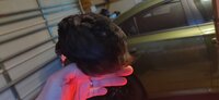 IMG_20190420_071531.jpg