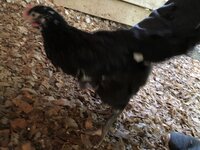 03D11524-3FA9-4B48-BCED-3EB2BC2E6027.jpeg
