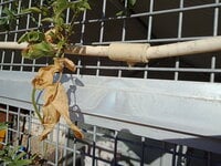 IMG20190422084918.jpg
