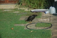 DSC_2111.JPG