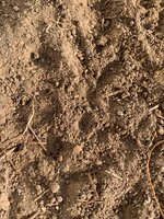 IMG_9268.jpg
