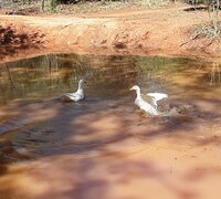 20190423_164851.jpg