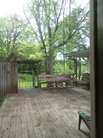 IMG_20190423_151300.jpg