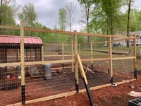 IMG_4523.jpg