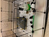 Gate on beginner brooder 2019.jpg Gate on beginner brooder 2019.jpg