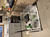 Higher walls on Brooder 2019.jpg Higher walls on Brooder 2019.jpg