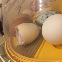 F207CE5D-B874-451D-8F79-260AEAE0B32E.jpeg