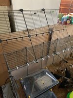 Brooder pen #11.JPG