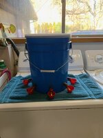 Chicken waterer #1.JPG