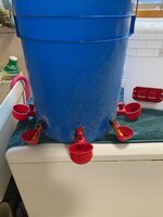 Chicken waterer #2.JPG